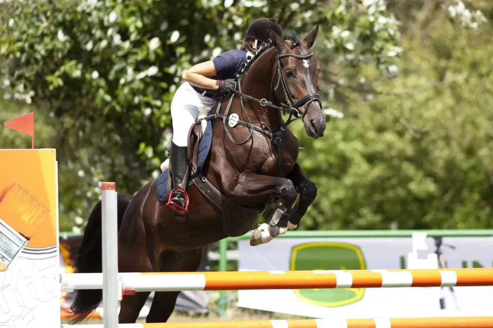 Pension pour chevaux près de Autrèche