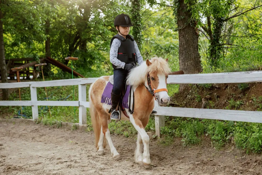 enfant-poney