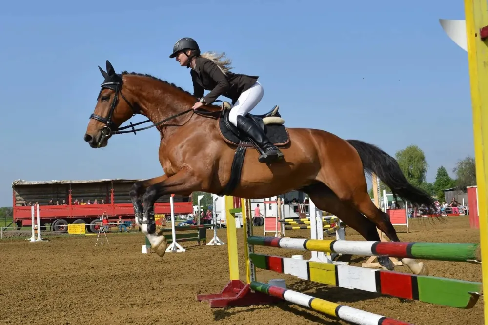 Stage d’équitation près de Autrèche